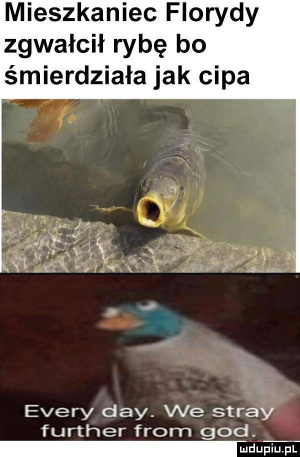 mieszkaniec florydy zgwałcił rybę bo śmierdziała jak cipa i esery dcy. we spray further from gad. uuupiu pl