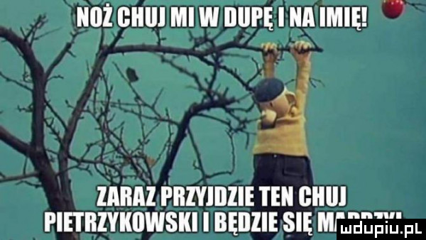 noż qu lenumnn imię zaćm pbiyiiiiie ten giiiii pie i iiiykiiwski i bęiiiie się mme je iﬂpl