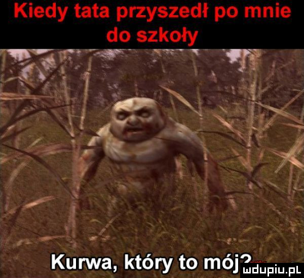 kiedy tata przyszedł po mnie do szkoły r  t sr w kurwa który to mój ludupiu. pl