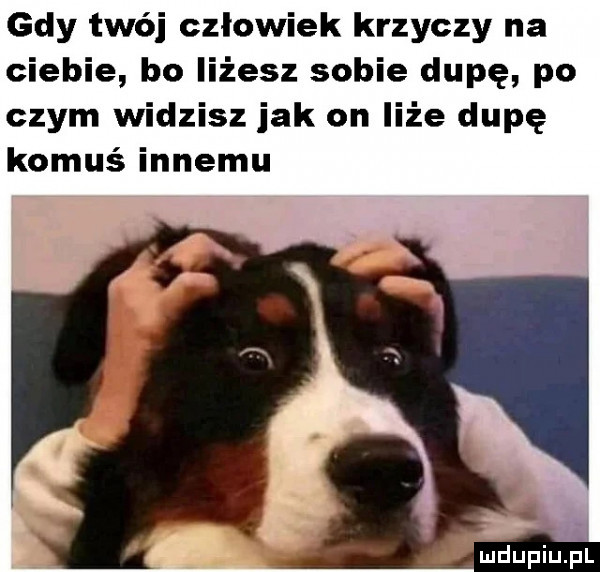 gdy twój człowiek krzyczy na ciebie bo iiżesz sobie dupę po czym widzisz jak on liże dupę komuś innemu