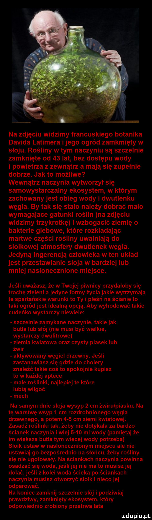 na zdjęciu widzimy francuskiego botanika davida latimera i jego ogród zamknięty w słoju. rośliny w tym naczyniu są szczelnie zamknięte od    lat bez dostępu wody i powietrza z zewnątrz a mają się zupełnie dobrze. jak to możliwe wewnątrz naczynia wytworzył się samowystarczalny ekosystem w którym zachowany jest obieg wody i dwutlenku węgla. by tak się stało na edy dobrać mało wymagajace gatunki roślin na zdjęciu widzimy trzykrotkę i wzbogacić ziemię o bakterie glebowe które rozkładając martwe części rośliny uwalniają do sloikowej atmosfery dwutlenek węgla. jedyną ingerencją człowieka w ten układ jest przestawianie sloja w bardziej lub mniej nasłonecznione miejsce. jeśli uważasz że w twojej piwnicy przydałoby się trochę zieleni a jedyne formy żęci jakie wytrzymają te spartańskie warunki to ty i pleśń na ścianie to taki ogród jest idealna opcją aby wyhodować takie cudeńko wystarczy niewiele szczelnie zamykane naczynie takie jak butla lub słój nie musi być wielkie wystarczy dwulitrowe ziemia kwiatowa oraz czysty piasek lub żwir aktywowany węgiel drzewny. jeśli zastanawiasz się gdzie do cholery znaleźć takie coś to spokojnie kupisz to w każdej aptece małe roślinki najlepiej te które lubią wilgoć mech na samym dnie słoja wysyp   cm żwiru piasku. na tę warstwę wsyp   cm rozdrobnionego węgla drzewnego a potem     cm ziemi kwiatowe. zasadź roślinki tak żeby nie dotykała za bardzo ścianek naczynia i wlej      ml wody pamiętaj że im większa butla tym więcej wody potrzeba słoik ustaw w nasłonecznionym miejscu ale nie ustawiaj go bezpośrednio na słońcu żeby rośliny sie nie ugotowały. na ściankach naczynia powinna osadzać się woda jeśli jej nie ma to musisz jej dolać jeśli z kolei woda ścieka po ściankach naczynia musisz otworzyć słoik i nieco jej odparować. na koniec zamknij szczelnie słój i podziwia prawdziwy zamknięty ekosystem który odpowiednio zrobiony przetrwa lata