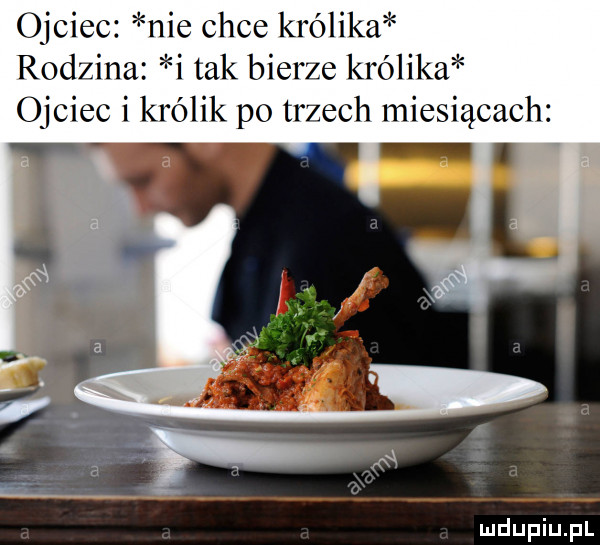 occie ie chce królika rodan i tak bierze królika ojciec i królik po trzech miesiącach