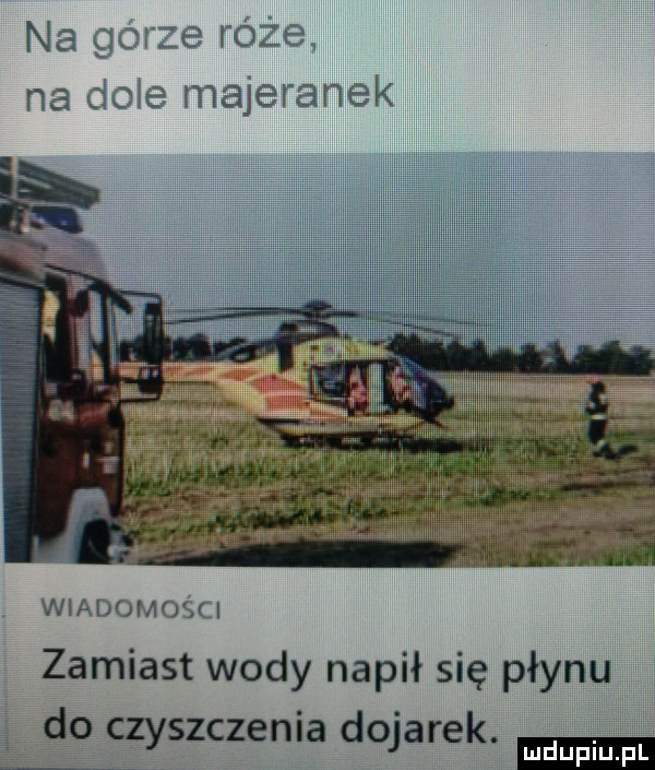 na gorze roze na cisie majeranek wiadomości zamiast wody napił się płynu do czyszczenia dojarek