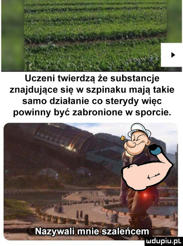 uczeni twierdzą że substancje znajdujące się w szpinaku mają takie samo działanie co sterydy więc nazywali mnie szaleńcem