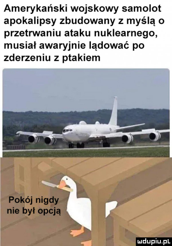 amerykański wojskowy samolot apokalipsy zbudowany z myślą o przetrwaniu ataku nuklearnego musiał awaryjnie lądować po zderzeniu z ptakiem l pokój nigdyj nie był oleją ludu iu. l