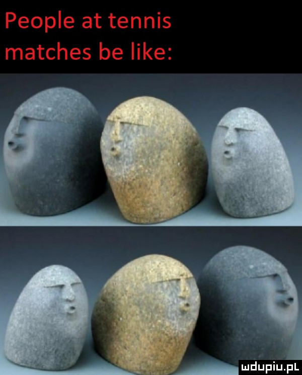 people at tennis matches be like ndufiu fl