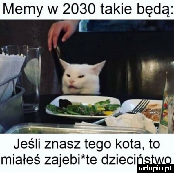 memy w      takie będą jeśli znasz tego kota to miałeś zajebi te dzieci