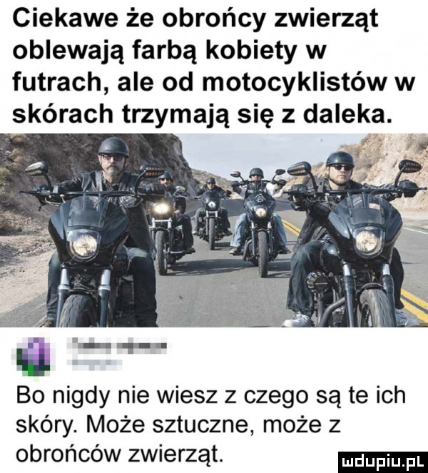 ciekawe że obrońcy zwierząt oblewają farbą kobiety w futrach ale od motocyklistów w skórach trzymają się z daleka.  . bo nigdy nie wiesz z czego są te ich skóry. może sztuczne może z obrońców zwierząt