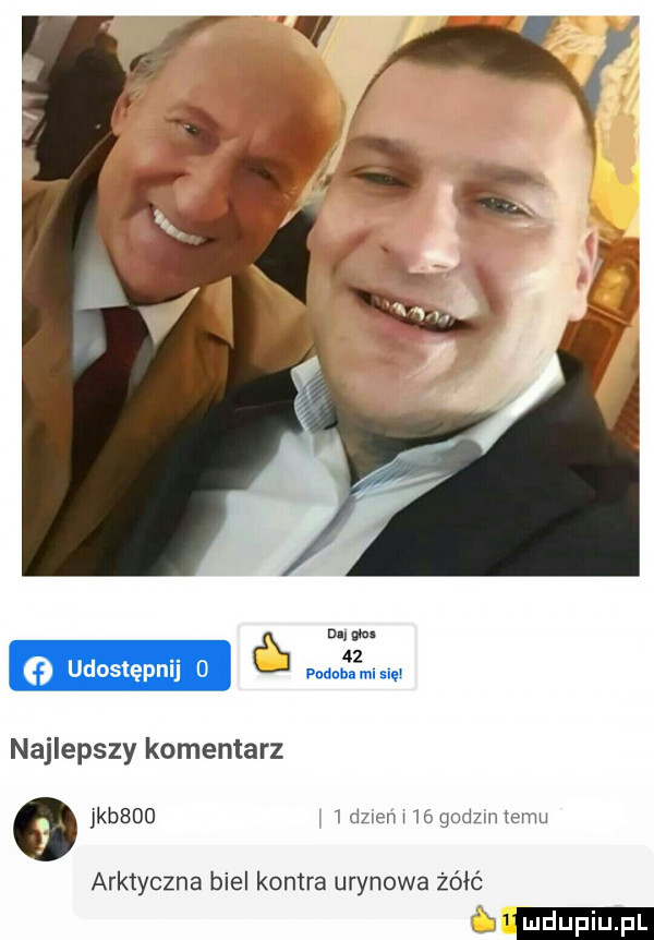 n. z o udostepnijo mmzm. na najlepszy komentarz o jkaoo  dhem ó goim emu arktyczna biel kontra urynowa żółć