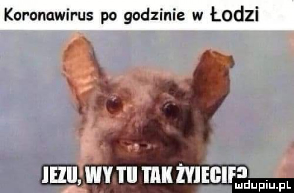 koronawirus po godzinie w łodzi. i x.     u x ar m  i ll tak ineihfa. ludupiu. pl