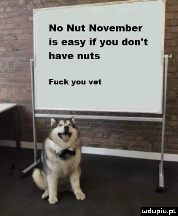 no nut nowember is eksy if y-u don t hace nurs funk y-u vet
