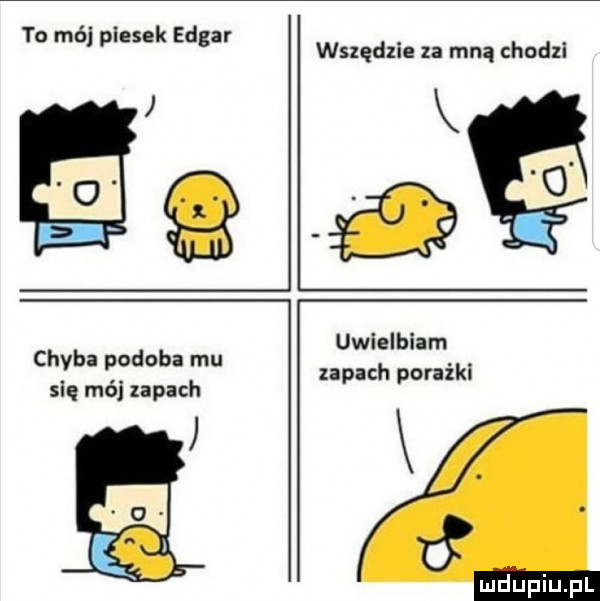 mól piesek edgar wszędzie za mna chodzi uwielbiam zapach porażki chyba podoba mu się mój zapach