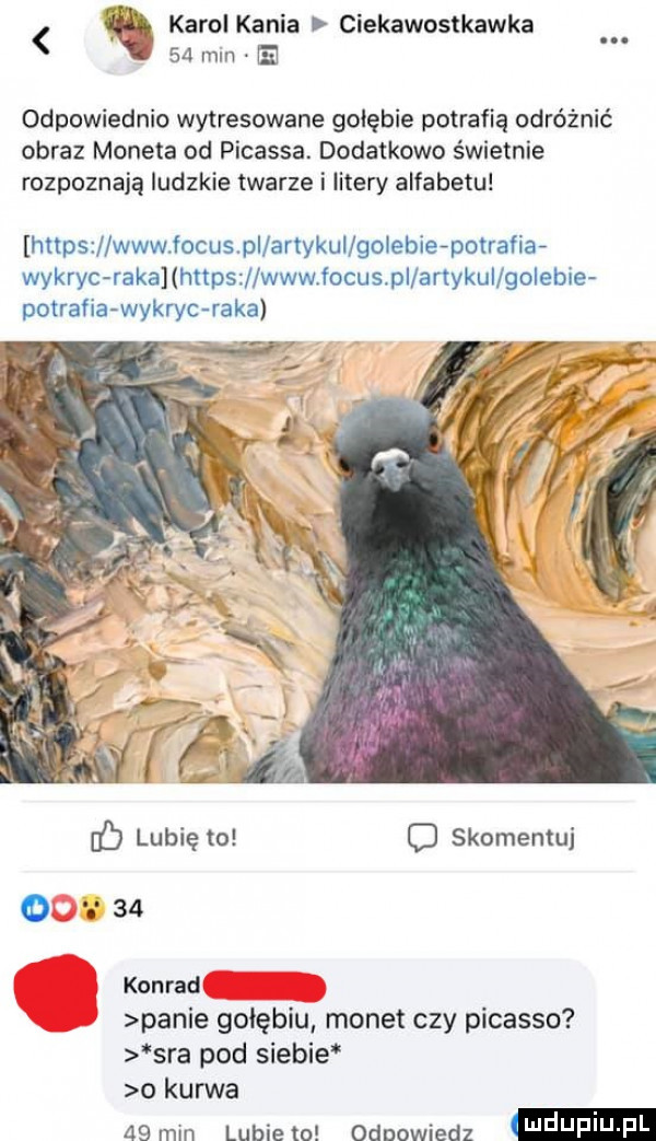 karol kania ciekawostkawka    min e odpowiednio wytresowane gołębie potrafią odróżnić obraz moneta od picassa. dodatkowo świetnie rozpoznają ludzkie twarze i litery alfabetu https lwwwmcus pi artykui golebie potrafiła wykryc raka https www focus pi anykui golebie potrafia wykryc raka d lubię to o skomentuj      konrad panie gołębiu monet czy picasso sra pod siebie o kurwa    mm lubie to odpowiedz daf u f l