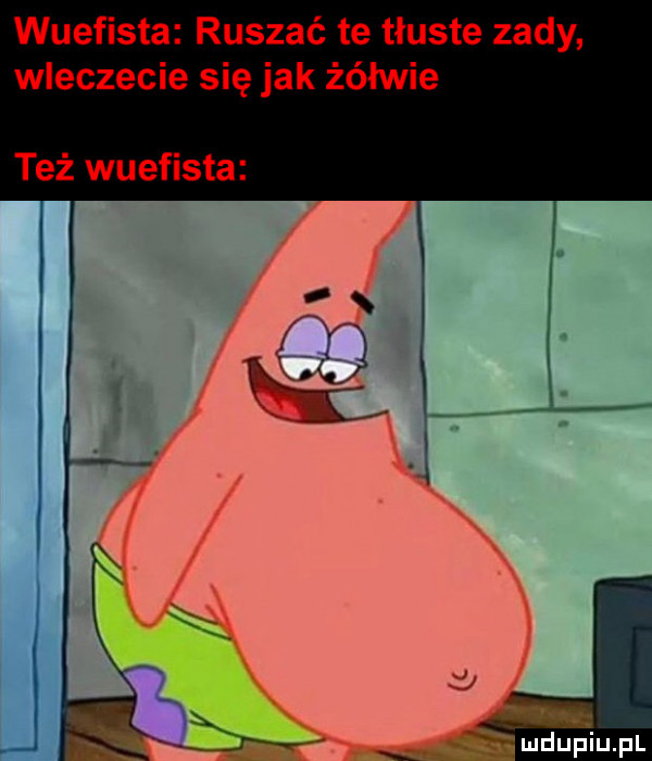 wuefista ruszać te tłuste zady wleczecie się jak żółwie też wuefista