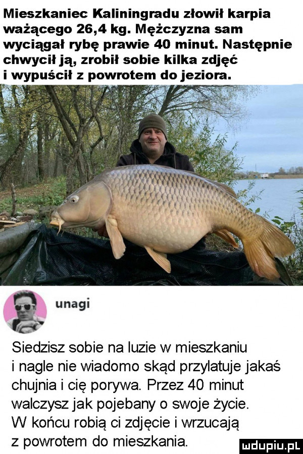 mieszkaniec kaliningradu złowił karpia ważącego      lg. mężczyzna sam wyciągał rybę prawie    minut. następnie chwycił ją zrobił sobie kilka zdjęć i wypuścił z powrotem do je om. a uwagi siedzisz sobie na luzie w mieszkaniu i nagle nie wiadomo skąd przylatuje jakaś chujnia i cię pon wat przez    minut walczyszjak pojebany o swoje życie. w końcu robią ci zdjęcie i wrzucają z powrotem do mieszkania
