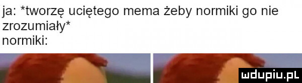ja tworzę uciętego mema żeby normiki go nie zrozumialy normiki