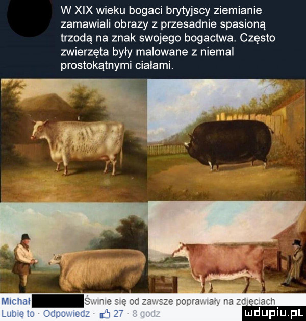 w xix wieku bogaci brytyjscy ziemianie zamawiali obrazy z przesadnie spasiona trzoda na znak swojego bogactwa często zwierzęta były malowane z niemal prostokątnymi ciałami. xy w