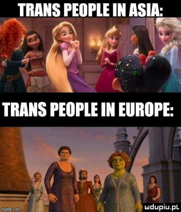 trans i elll le asia jung i   amgﬁlpcm i