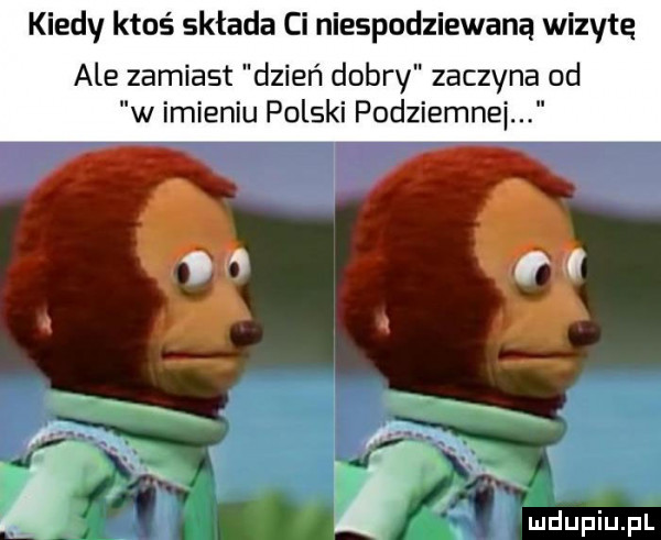 kiedy ktoś składa ci niespodziewana wizytę ale zamiast dzień dobry zaczyna od w imieniu polski podziemne