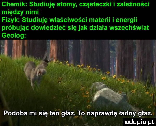 chemik studiuję atomy cząsteczki i zależności między nimi fizyk studiuję właściwości materii i energii próbując dowiedzieć się jak dziala wszechświat u x. abakankami mi    t. w i. abakankami. fr d. podoba mi się ten glajt to naprawdę ladnyyhglaz