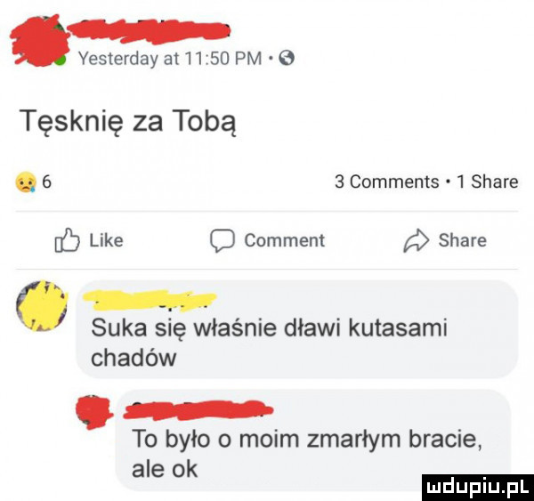 vesterday a       pm   tęsknię za tobą.     comments   stare c like q comment stare suka się właśnie dławi kutasami chadów. to było o moim zmarłym bracie ale ok