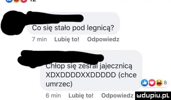 vvv u. co się stało pod iegnicą  mm lublęto odpowmdz. łap się zes jajecznicą xdxddddxxddddd chce umrzec       mm lumęto odpowiedz