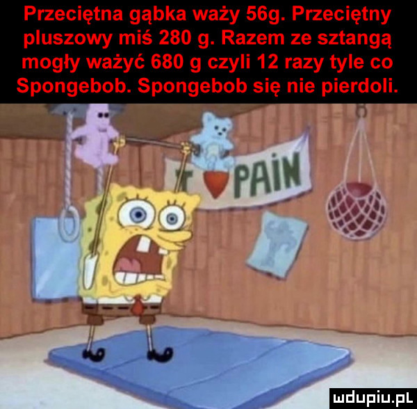 przeciętna gąbka waży    . przeciętny pluszowy miś      . razem ze sztangą mogły ważyć     g czyli    razy tyle co spongebob. spongebob się nie pierdoli. u. r pkin r a i. a. abakankami. r