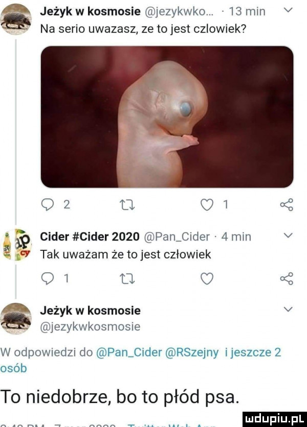 jeżyk w kosmosie jezykwko.    mm v na serio uwazasz ze tojest czlowiek oz q   cę cider cider      pan c der   mm v z fl tak uważam że to jest człowiek    fl   ać ą jeżykwkosmosie v jezykwkosmosie w odpowiedzi do panjider rszejny ijeszcze   osób to niedobrze bo to płód psa. m