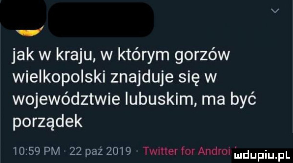 i jak w kraju w którym gorzów wielkopolski znajduje się w województwie lubuskim ma być porządek       pm     paz      twmev lm ankra ludupiupl