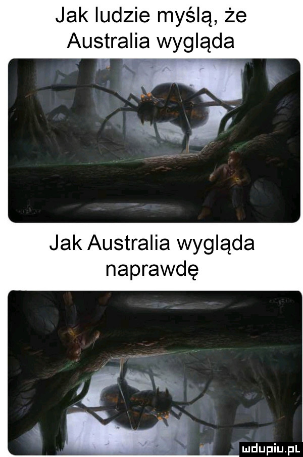 jak ludzie myślą że australia wygląda jak australia wygląda naprawdę
