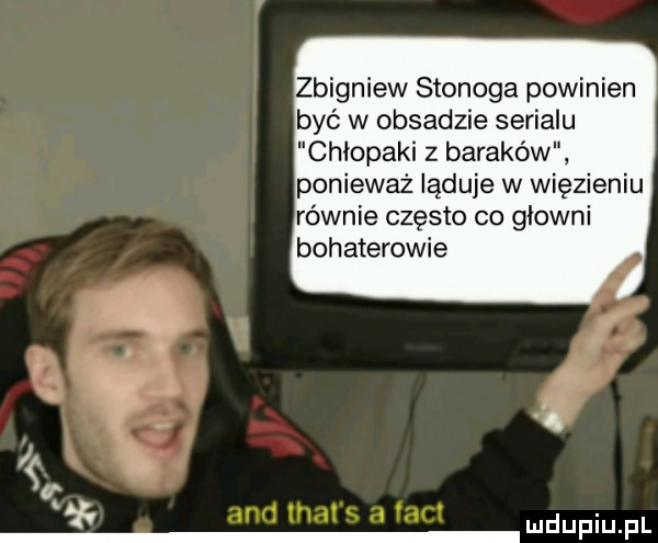 zbigniew stonoga powinien być w obsadzie serialu chiopeki z baraków ponieważ ląduje w więzieniu równie często co głowni bohaterowie