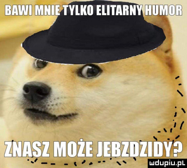 twe l qu ylkil hal młnjebmkdeu nai i