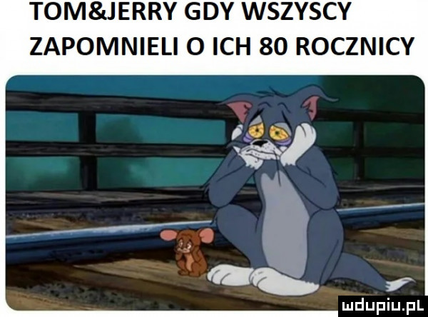 tom jerry gdy wszyscy zapomnieli   ich    rocznicy