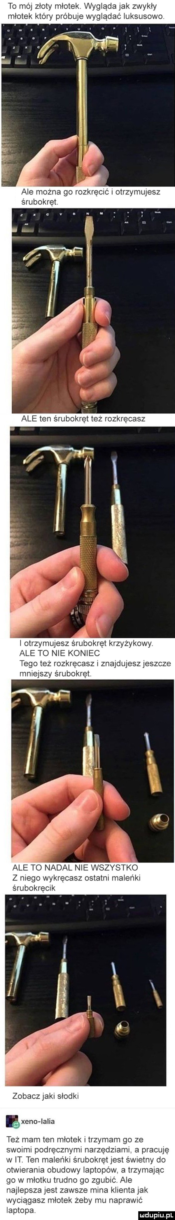 to mój złoty młotek. wygląda jak zwykły młotek który próbuje wyglądać luksusowo. ale można go rozkręcić i otrzymujesz śrubokręt. ale ten śrubokręt też rozkręcasz i i otrzymujesz śrubokręt krzyżykowy. ale to nie koniec tego też rozkręcasz i znajdujeszjeszcze mniejszy śrubokręt. ale to nadal nie wszystko z niego wykręcasz ostatni maleńki śrubokręcik zobacz jaki słodki xero ialia też mam ten młotek i trzymam go ze swoimi podręcznymi narzędziami a pracuję w it. ten maleńki śrubokręt jest świetny do otwierania obudowy laptopów. a trzymajac go w mlotku trudno go zgubić. ale najlepsza jest zawsze mina klienta jak wyciągasz mlotek żeby mu naprawić laptopa