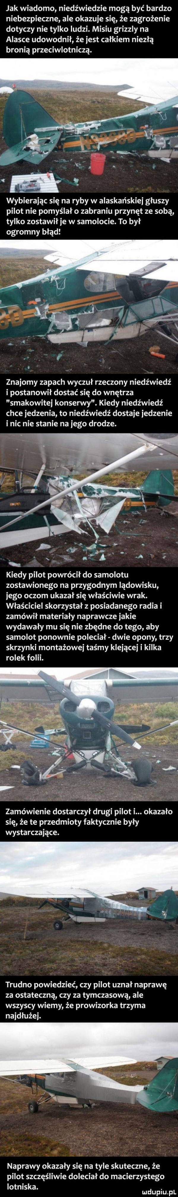 jak wiadomo niedźwiedzie mogą być bardzo niebezpieczne ale okazuje się że zagrożenie dotyczy nie tylko ludzi. misiu grizzly na alasce udowodnil że jest całkiem niezłą bronią przeciwlotniczą. wybierając się na ryby w alaskańskiej głuszy pilot nie pomyślało zabraniu przynęt ze sobą tylko zostawił je w samolocie. to był ogromny błąd znajomy zapach wyczuł rzeczony niedźwiedź i postanowił dostać się do wnętrza smakowitej konserwy. kiedy niedźwiedź chce jedzenia to niedźwiedź dostaje jedzenie i nic nie stanie na jego drodze. kiedy pilot powrócił do samolotu zostawionego na przygodnym lądowisku jego oczom ukazał się właściwie wrak. właściciel skorzystał z posiadanego radia i zamówił materiały naprawcze jakie wydawały mu się nie zbędne do tego aby samolot ponownie poleciał dwie opony trzy skrzynki montażowej taśmy klejącej i kilka rolek folii. zamówienie dostarczył drugi pilot i. okazało się że te przedmioty faktycznie były wystarczające. trudno powiedzieć czy pilot uznał naprawę za ostateczną czy za tymczasową ale wszyscy wiemy że prowizorka trzyma najdłużej. naprawy okazały się na tyle skuteczne że pilot szczęśliwie doleciał do macierzystego lotniska. ludupiu pl