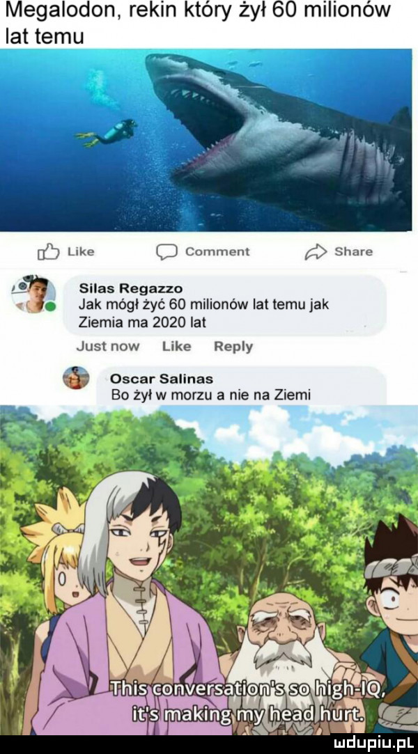 megalodon rekin który żył    milionów lat temu ec like c comment g stare silos ragazzo jak módl żyć    milionów lat temu jak ziemia ma      lat just now like repry oscar salinas bo żal w morzu a nie na ziemi