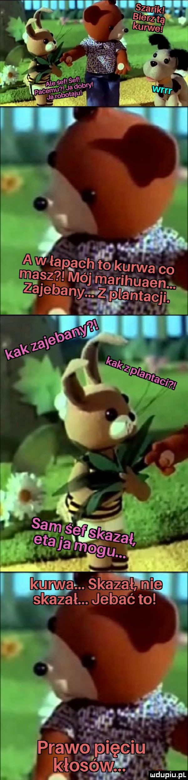 maﬁ a. w łapach to kurwa co masz mój marihuaen. abakankami zajebany vz paa macjit prawa pismu kłośwww. duciu pl
