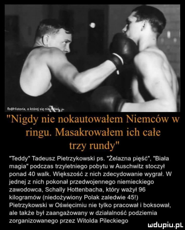 mwtakwmwb nigdy nie nokautowałem niemców w ringu. masakrowałem ich całe trzy rundy toddy tadeusz pietrzykowski ps. żelazna pięść biala magia podczas lrzylelniego pobytu w auschwitz sloczyl ponad    walk. większość z nich zdecydowanie wygral w jednej z nich pokonal przedwojennego memiecklego zawodowca schally holtenbacha. który wazyl    kilogramów niedożywiony polak zaledwie    plelrzykowski w ośmęclmlu nie lalko pracowal i boksowal. ale także byl zaangażowany w działalność podziemia zor awizowane o rzez witolda pileckie o.   g p g mduplu pl