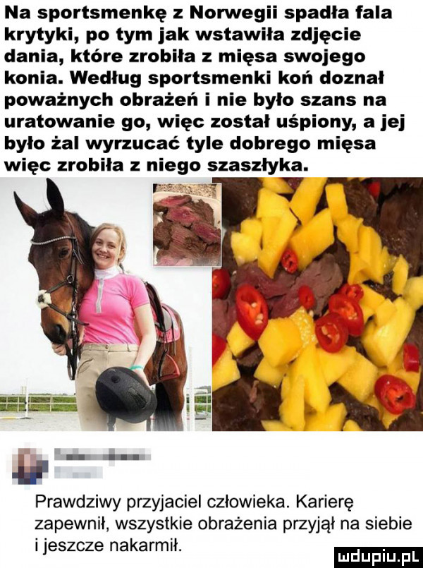 na sportsmenkę z norwegii spadła fala krytyki po tym jak wstawiła zgięcie dania które zrobiła mięsa swojego konia. według sportsmenki koń doznał poważnych obrażeń i nie było szans na uratowanie go więc został uśpiony a jej było żal wyrzucać tyle dobrego mięsa więc zrobiła niego szaszłyka. a prawdziwy przyjaciel człowieka. karierę zapewnił wszystkie obrażenia przyjął na siebie jeszcze nakarmił