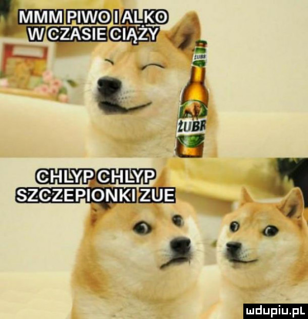 w piwo i alko czasie clą z y iubi ghlypchlyp szczepiqnkieﬂe. i v o.   o v x ludu iu. l