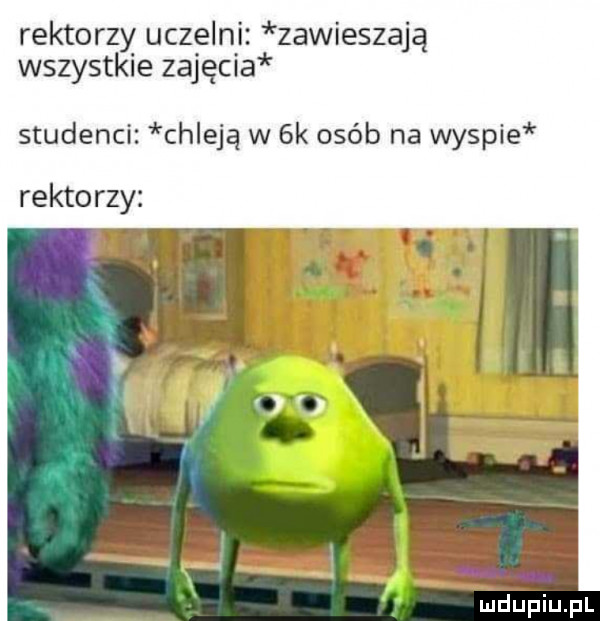 rektorzy uczelni zawieszają wszystkie zajęcia studenci chleją w  k ojeb na wyspie rektorzy