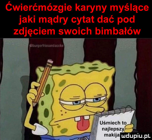 ćwierćmózgie karyny myślące jaki mądry cytat dać pod zdjęciem swoich bimbałów
