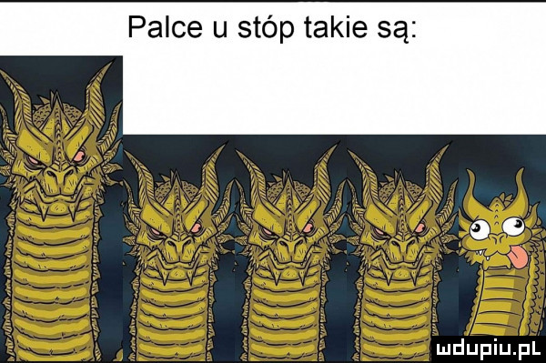 palce u stóp takie są