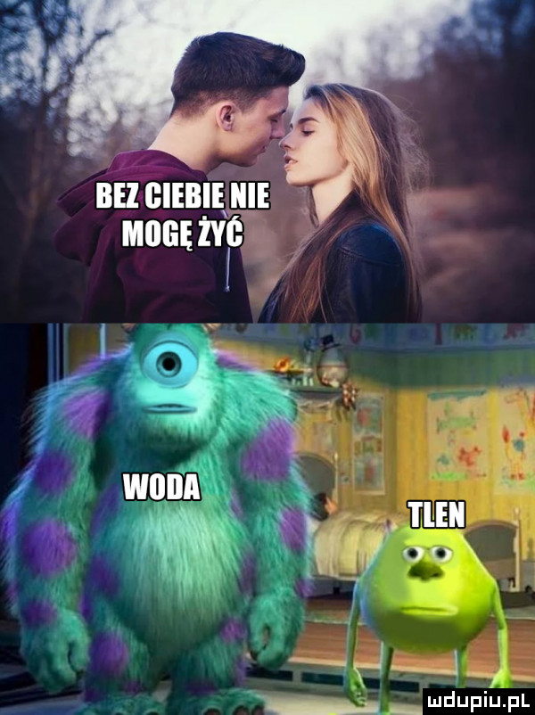bezgieiiihiie mousﬁél wdupiu pl