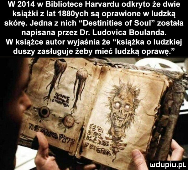 w      w bibliotece harvardu odkryto że dwie książki z lat     ych są oprawione w ludzka skórę. jedna z nich destinities of soul została napisana przez dr. ludovica borlanda. w książce autor wyjaśnia że książka o ludzkiej duszy zasługuje żeby mieć ludzką oprawę