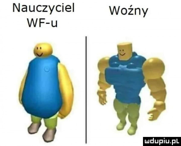 nauczyciel woźny wf u     ludu iu. l