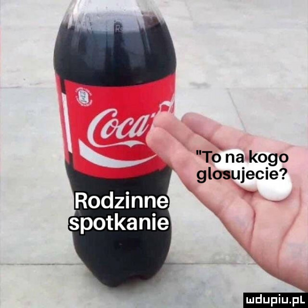 to na kogo glosujecie