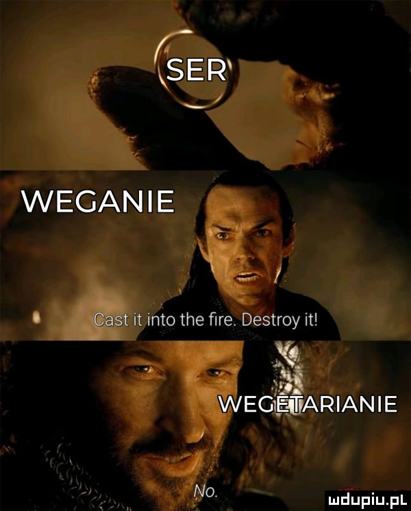 ser weganie f cest it iato tee furę destroy i  xi f wegieiﬁarianie no