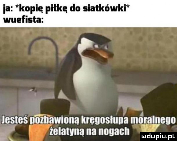 ia kopię piłkę do siatkówki wuef lata lesleś naj zliawiona kręunsluna moralnego żelatyna na nogach x