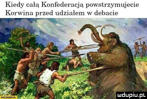 kiedy całą konfederacją powstrzymuje cie korwina przed udzialem w debacie